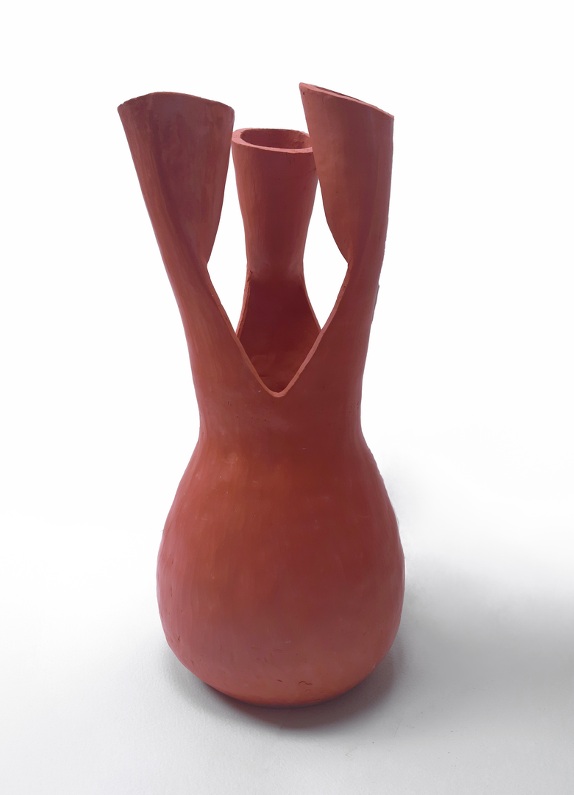 vase_fmu5zh